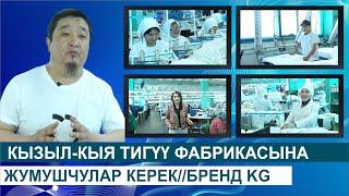 КЫЗЫЛ-КЫЯ ТИГҮҮ ФАБРИКАСЫНА ЖУМУШЧУЛАР КЕРЕК//БРЕНД KG