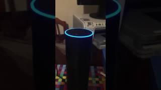 Alexa Weather