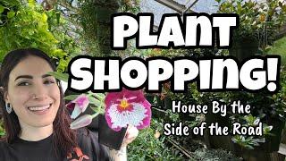 SO MANY PLANTS!!  Plant Shopping at House By the Side of the Road in Wilton, NH!! ️