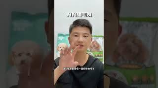 狗狗孤独都会有什么表现？别让满眼都是你的狗狗孤独，多陪陪他#宠物 #养狗 #狗狗 #记录真实生活