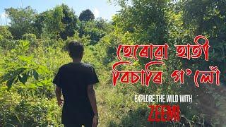 হেৰোৱা হাতী বিচাৰি গ’লোঁ • Explore The Wild with ZEEMI