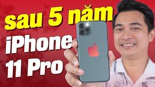 Looking back at the iPhone 11 Pro after 5 years, what can it still do!!!