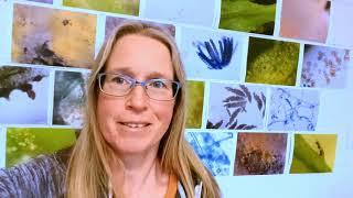 Studying Plant Pathology at Masters level 2022 - Wendy introduces her MSc in vlog 1