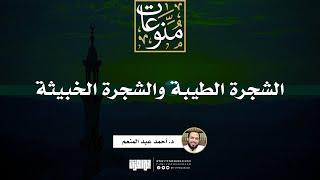 الشجرة الطيبة والشجرة الخبيثة | خطبة | د. أحمد عبد المنعم