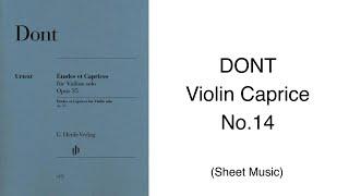 DONT 24 Violin Caprice No.14