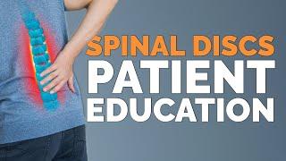 Spinal Discs | Chiropractic Patient Education Video for Streaming in Your Practice