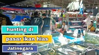 Cari ikan Glass Catfish di Pasar Ikan Hias Jatinegara