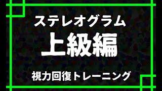 上級編ステレオグラム 視力回復トレーニング stereogram 平行法 立体視 parallel view[089]