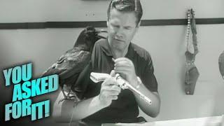 The Man Hollywood Uses to Train Birds for the Big Screen (feat. Moe Di Sesso)