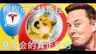 狗狗币|购买|特斯拉！|狗狗币|基金会的真相！！|比特币|是骗局？？