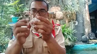 Hasta Karya pramuka Ring dari bahan Kabel. #shortsvideo #hastakarya #ringkabel #tahap1,2,3 #pramuka