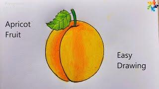 How to draw Apricot Fruits || Drawing with Painting