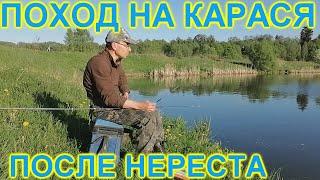 Поход на карася после нереста  Hiking crucian carp after spawning