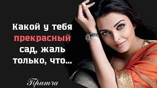 САМАЯ КРАСИВАЯ притча о ревности и ЛЮБВИ