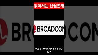 브로드컴(AVGO)