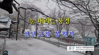 눈 내리는 풍경 - 천년고찰 봉원사