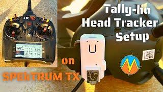 Easy Head Tracker Setup on Spektrum Radios