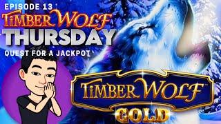 TIMBER WOLF THURSDAY!  [EP 13] QUEST FOR A JACKPOT! TIMBER WOLF GOLD Slot Machine (Aristocrat)