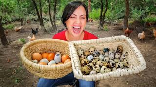 Cuántos Huevos Recojo al Día?!  Sandra Cires Vlog