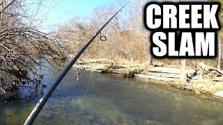 Winter Trout Fishing in a Public Park! (Winter Creek Fishing Slam)