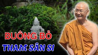 Làm Sao Để Buông Bỏ THAM SÂN SI, nên nghe 1 lần | HT. Viên Minh