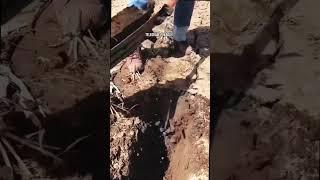 ️️️️️️  Замечательная находка на Вайлдберриз
