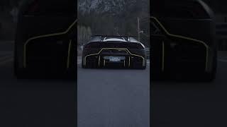 Here's what my camera sees  #lamborghini