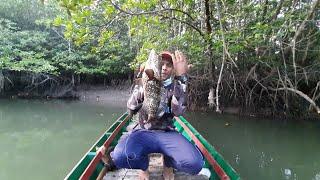 Mangrove Jack and Grouper fishing with 7ft Daiwa Phantom snapper rod in mangroves tips for beginners