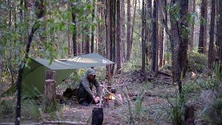 Solo Bushcraft & Wild Camping in Australian Forest