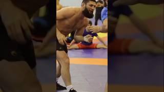  Садулаев ЗАБРАЛ СПИНУ Чимаева во время схватки! #shorts #mma #wrestling