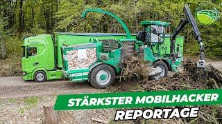 Most powerful wood chipper | ALBACH Diamant 2000 | Report