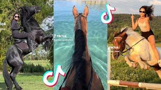 The Cutest HORSES Equestrian TikTok Compilation Pt.193