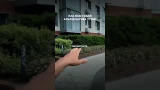 Альтернатива туям #ландшафтныйдизайн