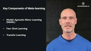 The Investor’s Roadmap to Meta-Learning in Artificial Intelligence