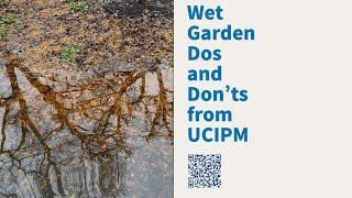 Wet Garden Dos and Don'ts