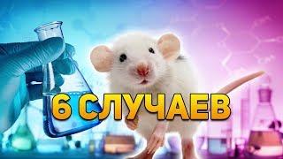 6 случаев, когда лекарства для ЛЮДЕЙ работали только на МЫШАХ | DeeaFilm