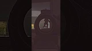 Hidden in Plain Sight in Tarkov  #tarkov #escapefromtarkov #eft