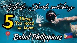 WHALE SHARK watching in Lila Bohol - WATCH THIS BEFORE GOING |Lost in Paradise Bohol