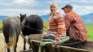 Two Elderly Sisters in the Countryside: Family and Farm Life