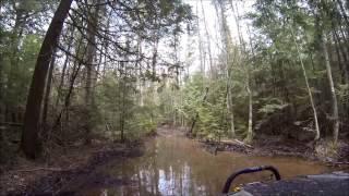 Deep Water on the Lighthouse Trail