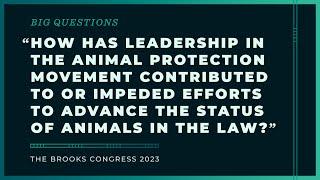 Animal Protection Leadership and the Legal Status of Animals