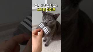 고양이 털, 집에서 쉽게 재활용하는 방법