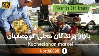 گردش در بازار پرندگان محلی کوچصفهان,گیلان[4k] شمال ایران - Local bird market, Kuchesfahan,Gilan,Iran