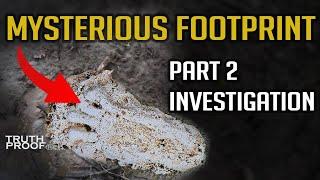 Mysterious Footprint Anomaly in UK Woodlands | Part 2