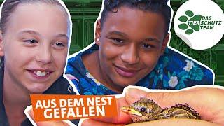 Hilfe für Eule, Kautz & Co. | Das Tierschutzteam