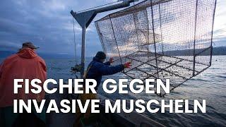 Schweizer Fischer vs. invasive Quagga-Muschel: Fischernetze zerstört | Republic News Deutsch | AM1E