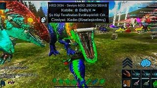 ARK | MOBİLE  NEW PVP/PVXC SERVER HACKER RAİD