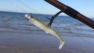 Fishing the SAND FLATS for FLATHEAD | WINTER landbased fishing