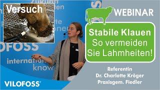 #2  Stabile Klauen für langlebige Kühe, Versuch Hoofoss - Dr. Kröger, Praxisg. Fiedler - Nov.23