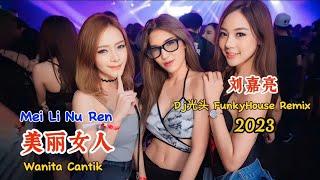 刘嘉亮 - 美丽女人 - (Dj光头 FunkyHouse Remix 2023) - Mei Li Nu Ren - Wanita Cantik #dj抖音版2023